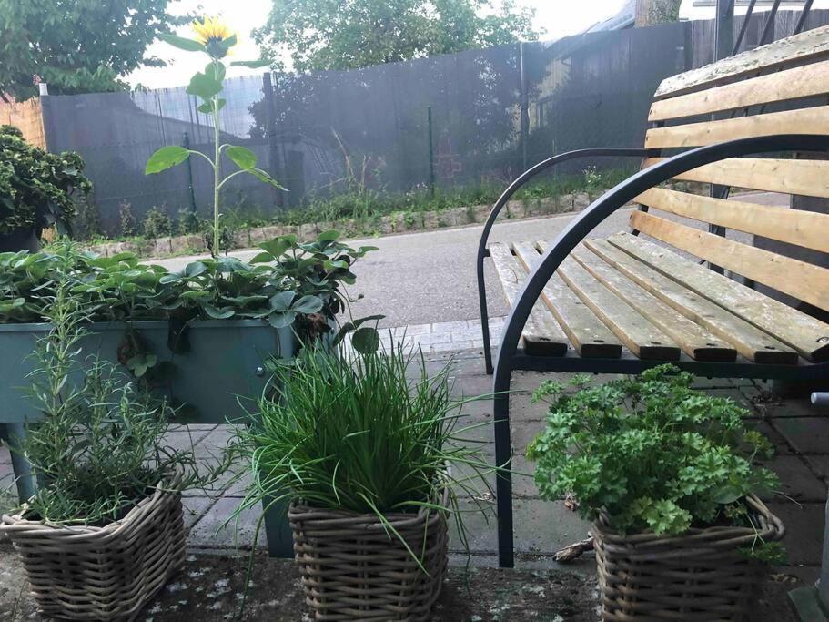 Wohnung In Gehobener Lage Bruchsal Buitenkant foto